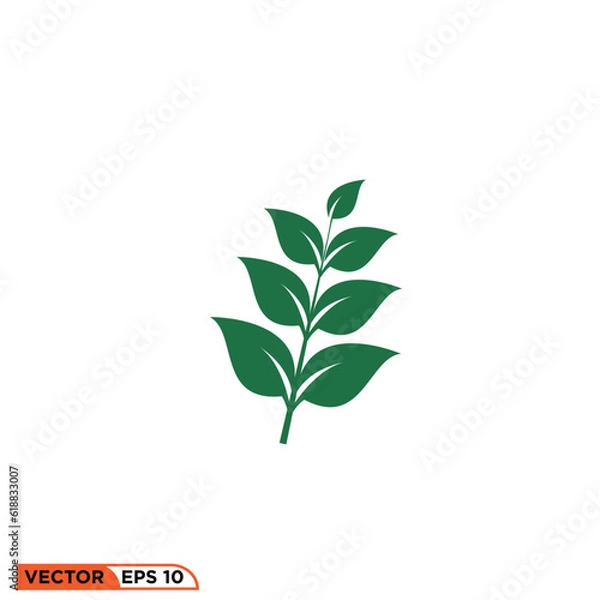 Fototapeta Plant twigs icon vector graphic of template 