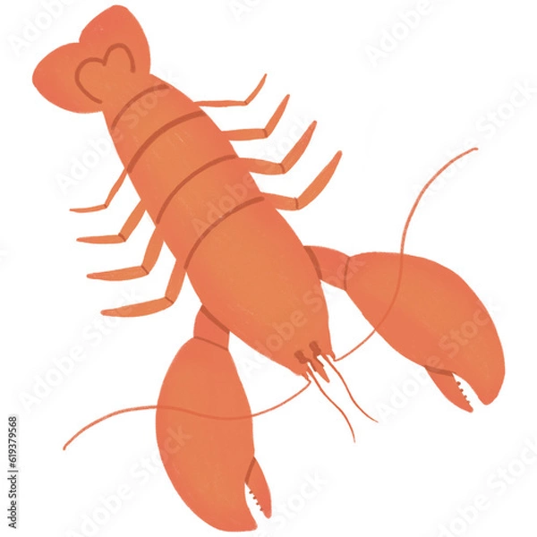 Obraz orange lobster isolated on white background