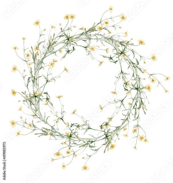 Obraz Wreath of yellow flower meadow, forest flowers. Buttercup known as Ranunculus acris, sitfast, spearworts or water crowfoots.Watercolor hand painting illustration on isolate. , circlet of flowers