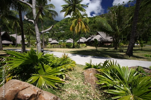 Fototapeta jardin