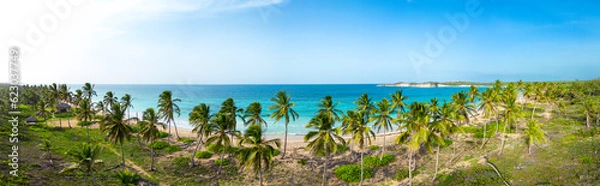 Fototapeta Aerial panorama of Macao beach with green coconut palm trees and turquoise color of the Caribbean sea. Best destinations for vacations in Dominican Republic 