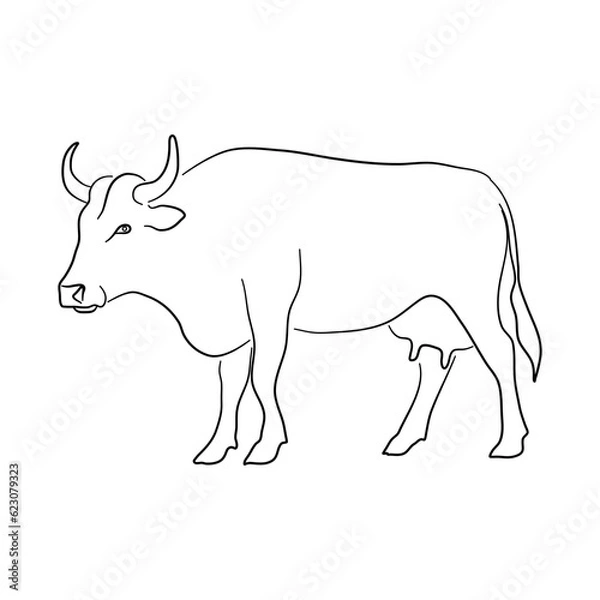 Fototapeta Sketch drawing of a Cow isolated on a white background. Vector illustration.