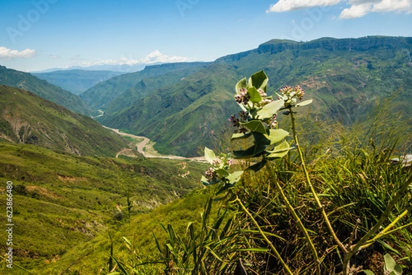 Fototapeta Chicamocha National Park aerial view of the canyon in andes Colombia mountains landscape