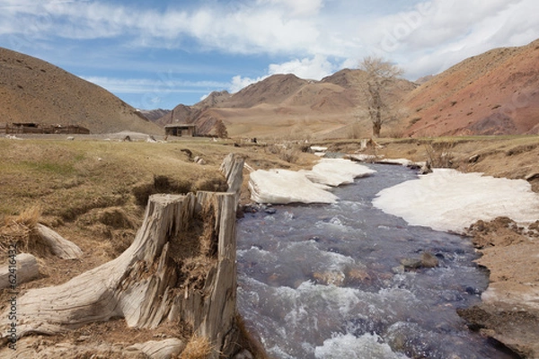 Fototapeta The mountain river