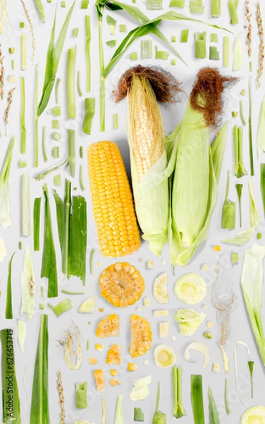 Fototapeta Corn Slice and Leaf Collection