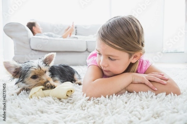 Fototapeta Little girl lying on rug with yorkshire terrier