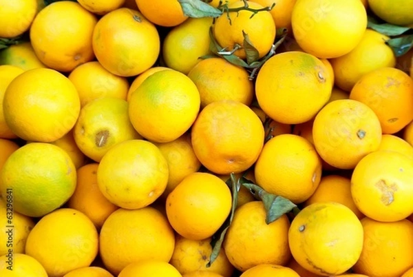 Fototapeta Orange fruits for sale at farmers market.