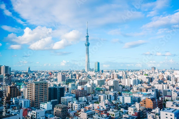 Fototapeta 【東京】東京スカイツリーと周辺風景