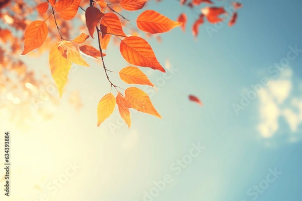 Fototapeta Autumn leaves drifting down against the blue sky