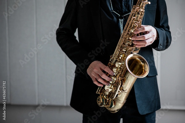 Fototapeta musician artist hands playing classical saxophone music instrument learning practicing jazz harmony melody on orchestra theatrical concert stage performance elegance gesture expression talent hobby