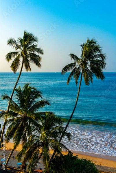 Fototapeta Beautiful paradise tropical beach waves palms Mirissa Beach Sri Lanka.