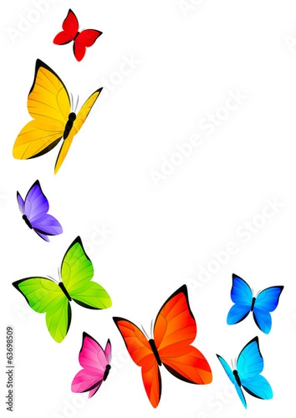 Fototapeta Color butterflies for Your design