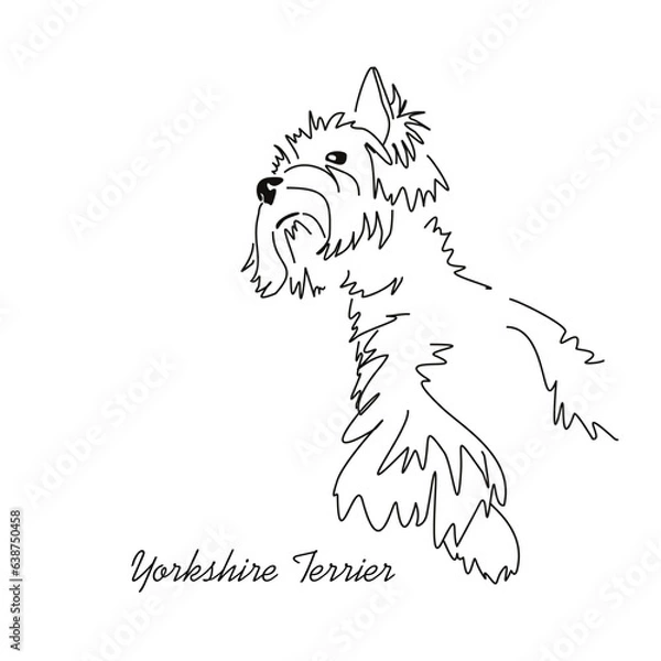 Fototapeta Vector drawing of a Yorkshire Terrier puppy. A sketch of a lying little dog