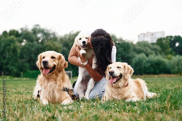 Fototapeta Front view. Woman with beautiful dogs are in the field outdoors