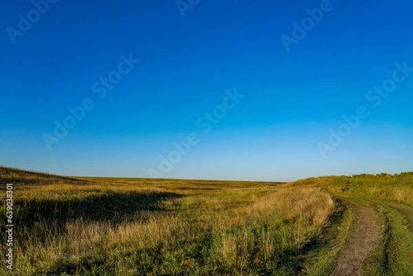 Fototapeta landscape in the countryside