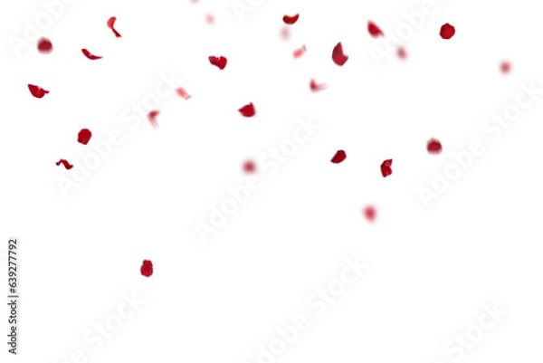 Fototapeta Floating red rose petal isolated on on a transparent background png. Background concept for love greetings on valentines day and mothers day. Space for text