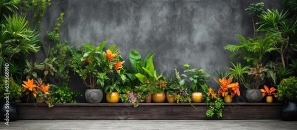 Fototapeta Yard with ornamental flora