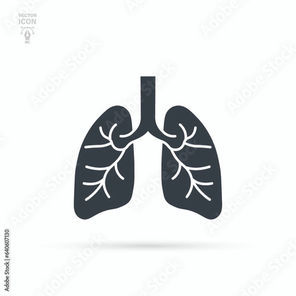 Fototapeta Lungs icon. Respiratory system healthy lung flat medical organ. Isolated vector illustration. 