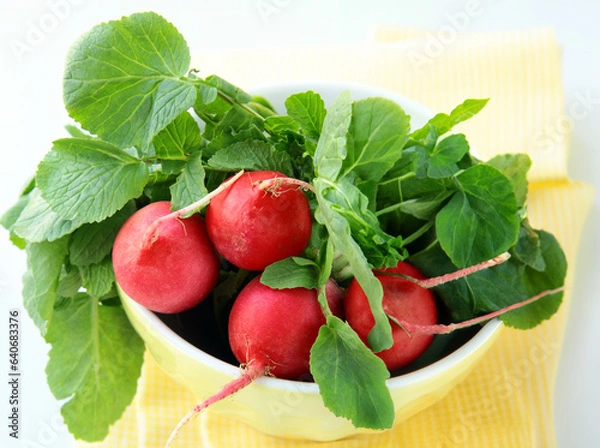 Fototapeta organic radish vegetables for healthy eating