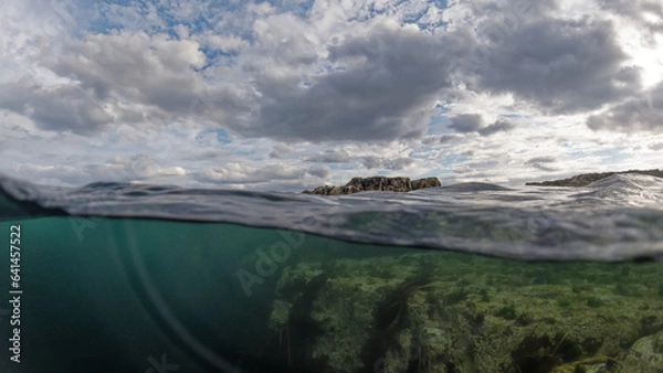 Fototapeta In water sea photography in the Farne Islands