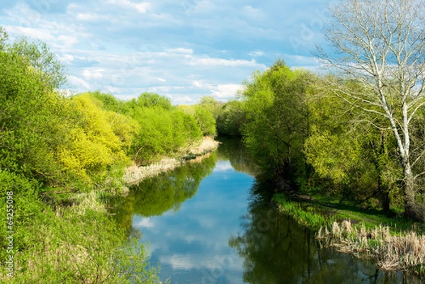 Fototapeta spring river landscape