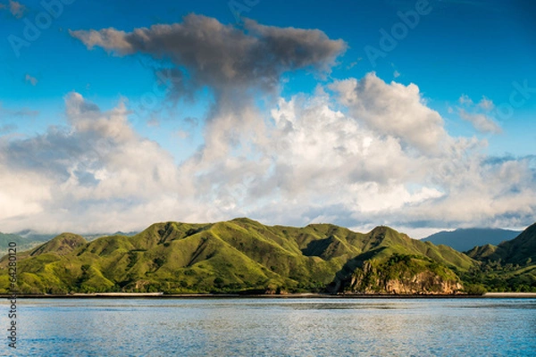 Fototapeta Coastal landscape of island Komodo National Park, UNESCO World H