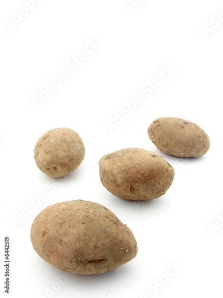 Fototapeta Potato isolated