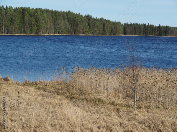 Fototapeta lakeside