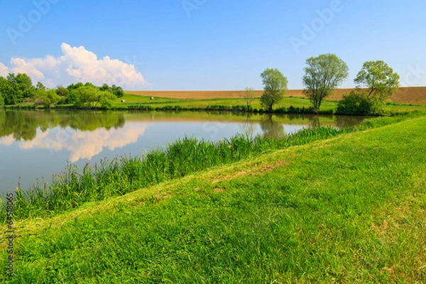 Fototapeta Lake in countryside landscape in spring, Austria