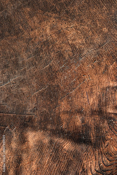 Fototapeta Ancient tree trunk section. Textured background of an old wooden plank.