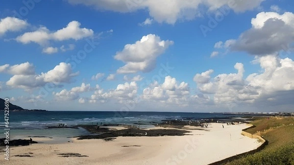 Fototapeta 제주도,길,ROAD,해변,Jeju Island,Beach