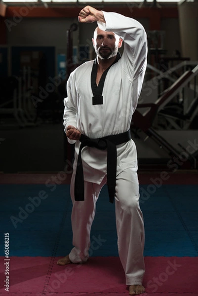 Obraz Taekwondo Fighter Pose