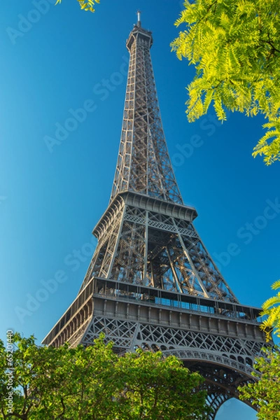 Fototapeta Tour Eiffel PARIS