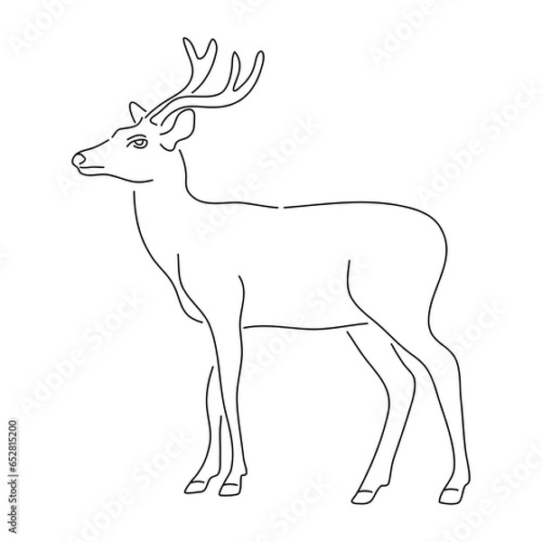 Fototapeta Deer in doodle style. Icons sketch hand made. Vector editable stroke.