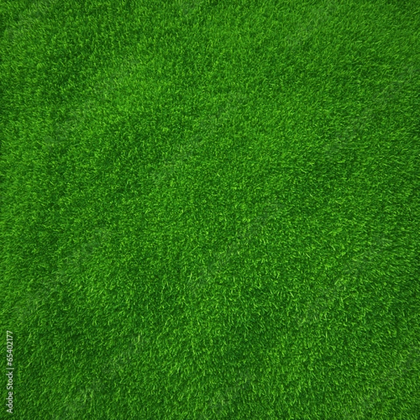 Fototapeta green grass