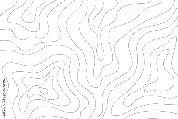 Fototapeta Topographic map background. geographic line map with elevation assignments. geographic grid map. Abstract wavy and curved lines background. Vector illustration