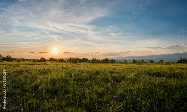 Fototapeta Golden Horizons: A Rural Landscape