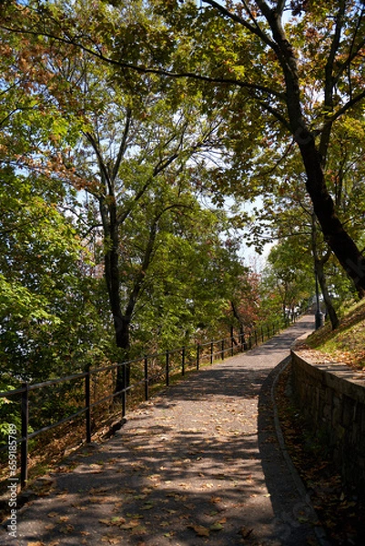 Fototapeta The path is fenced and covered with leaves in the city recreation park