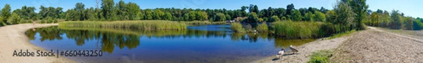 Fototapeta Beautiful panoramic view of lake with swan