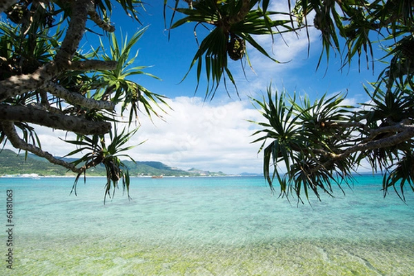 Fototapeta 沖縄の海　瀬底島