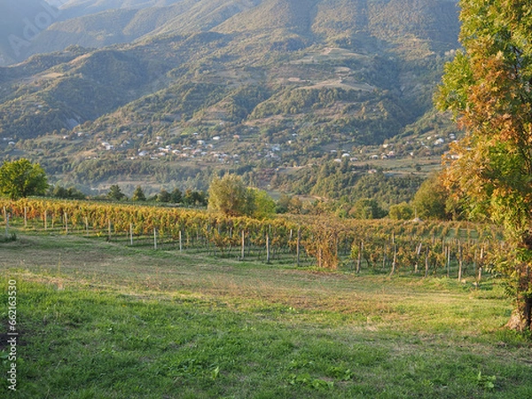 Fototapeta Georgia – the cradle of winemaking