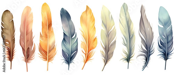 Fototapeta Watercolor Feather Illustrations