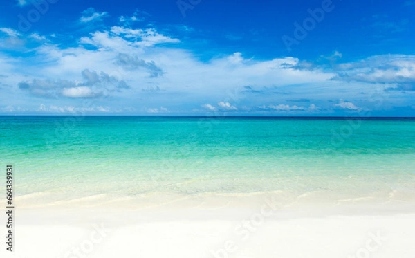 Obraz tropical beach in Maldives with few palm trees and blue lagoon