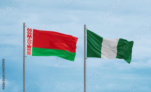 Fototapeta Nigeria national flags, country relationship concept