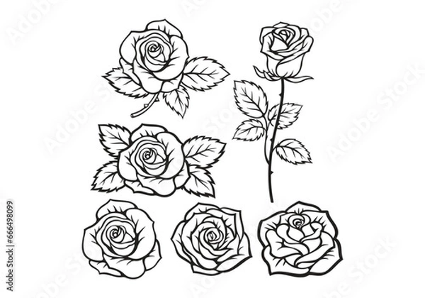 Fototapeta illustration of a rose, Rose logo, vector, line art, sketch rose logo, flower logo, rose set, background. vector logo