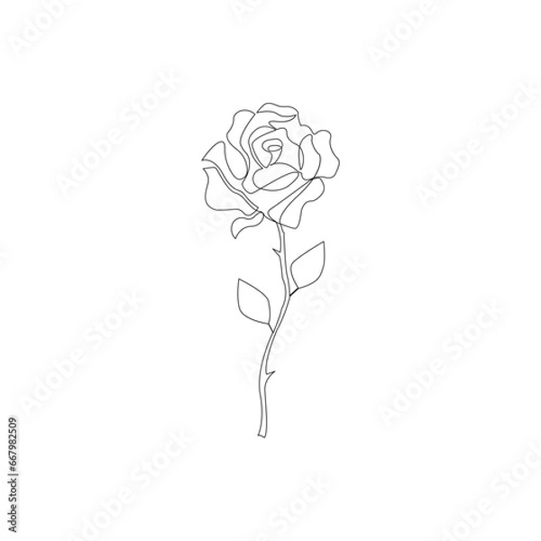 Fototapeta Isolated beautiful rose flower hand drawn outline continuous vector icon design 