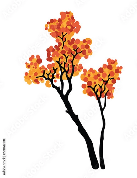 Fototapeta autumn tree