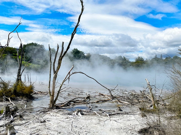 Fototapeta Kuirau Park located in geothermal area in Rotorua,
New Zealand