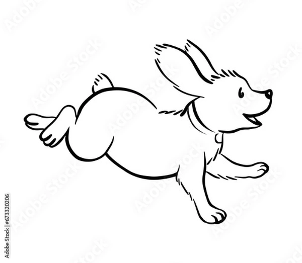 Fototapeta Running dog. Cute cocker spaniel with big ears. Funny domestic puppy. Cartoon black and white illustration Hand drawn sketch line