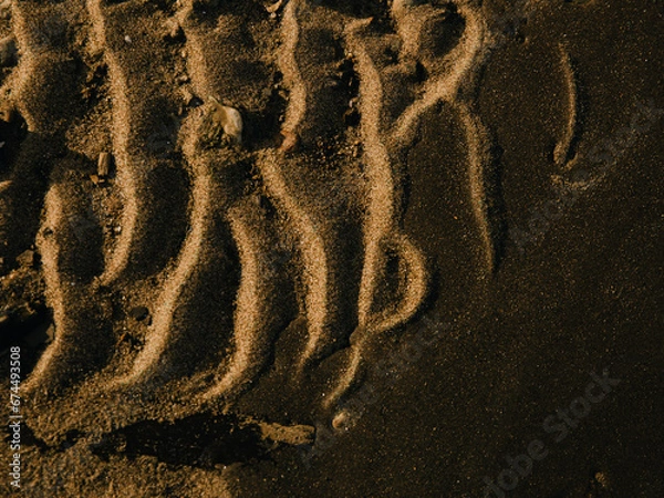 Fototapeta texture of sand